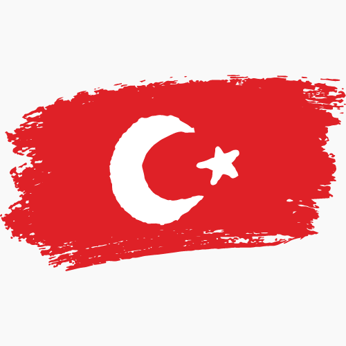 Model imputernicire auto Turcia Descarca gratuit Traduceri turca